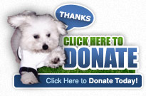 Click Here to Donate Today!